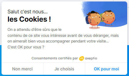 exemple bannière cookies site web